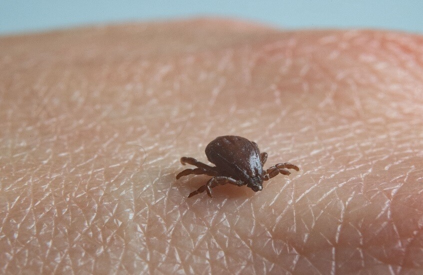 الصين.. اكتشاف جسم مضاد لمكافحة متلازمة الحمى المصحوبة بنقص الصفيحات