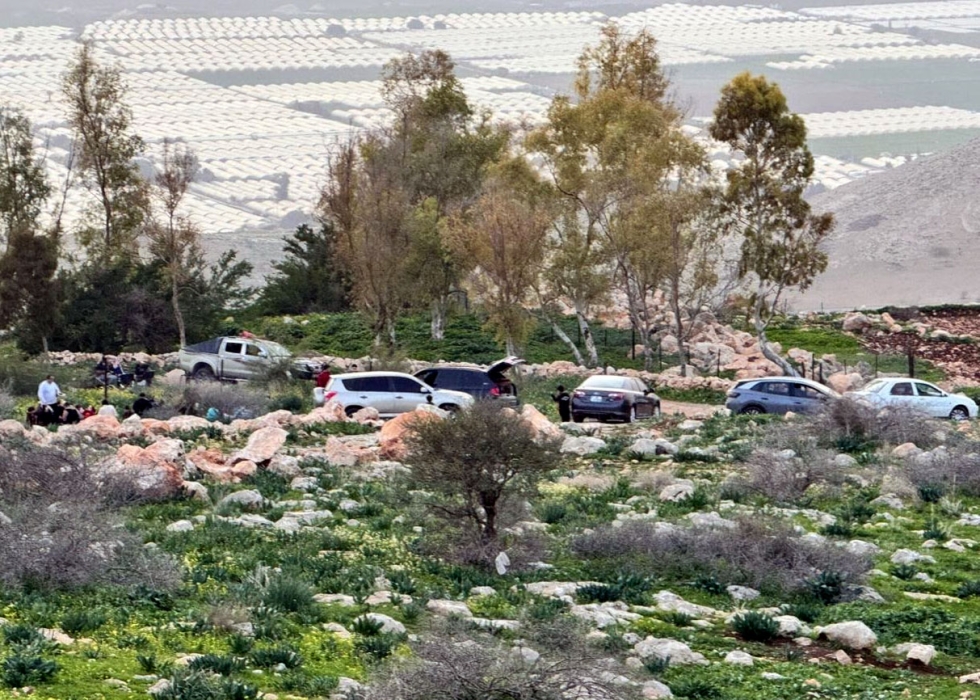 ربيع مبكر في عجلون يعزز الحركة السياحية وموسم التبقل