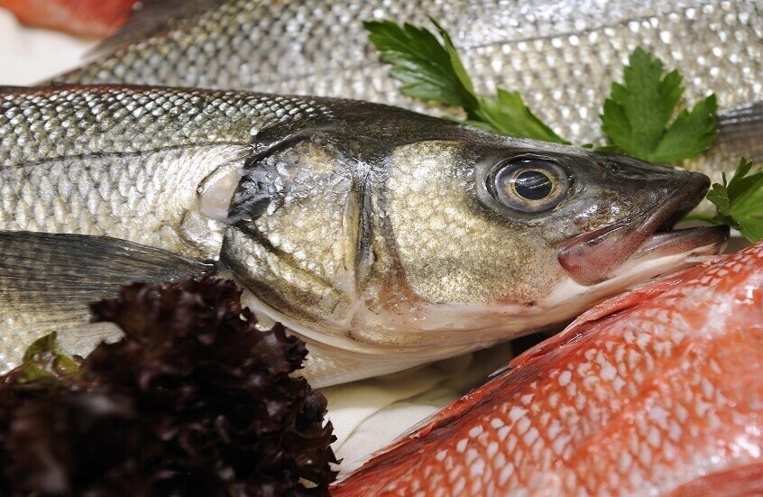 عنصر مهم يحتاجه الجسم لمكافحة الإرهاق المستمر